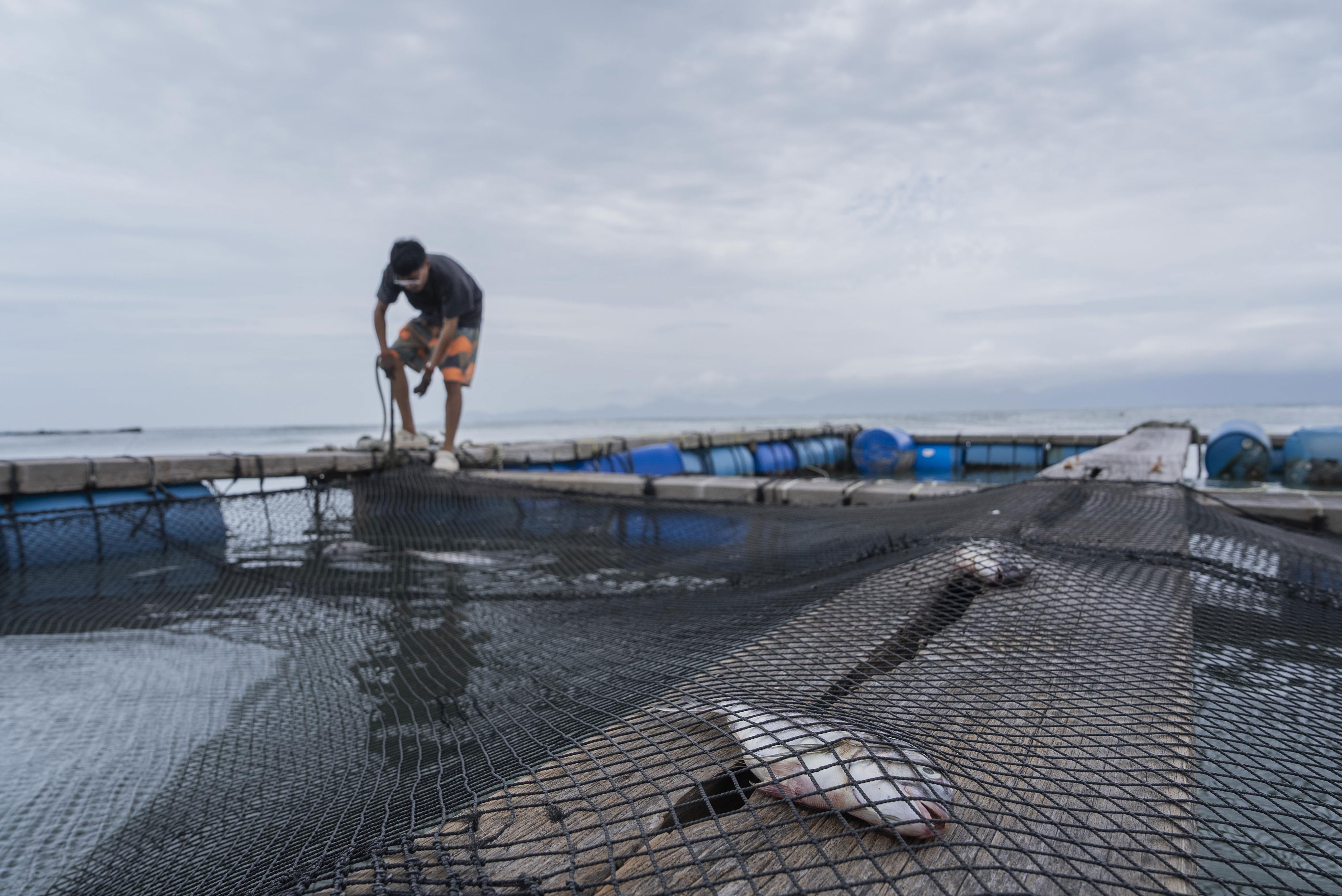 https, 华哥告诉记, cn https, 华哥告诉记, cn