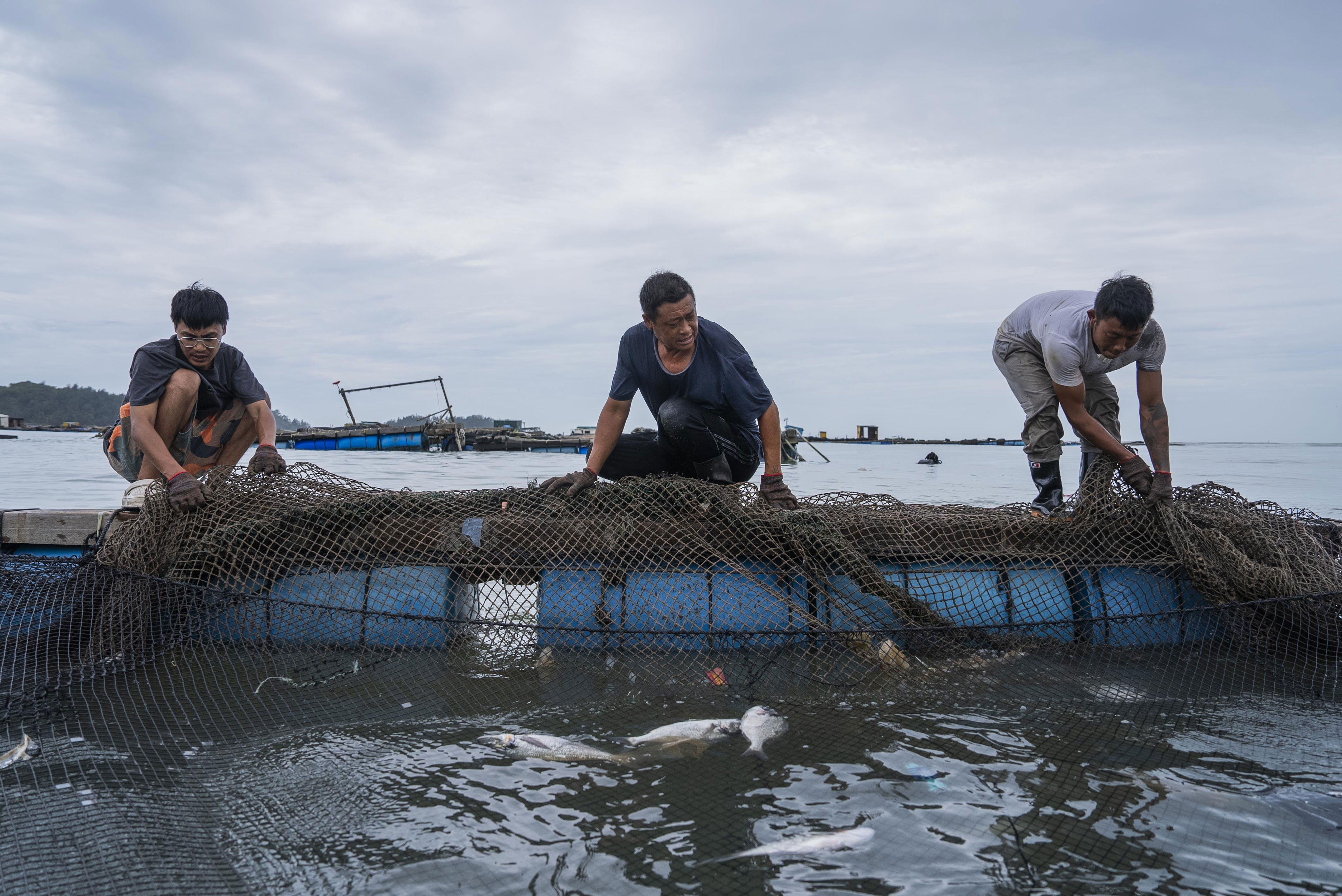 img, 南方 img, 南方