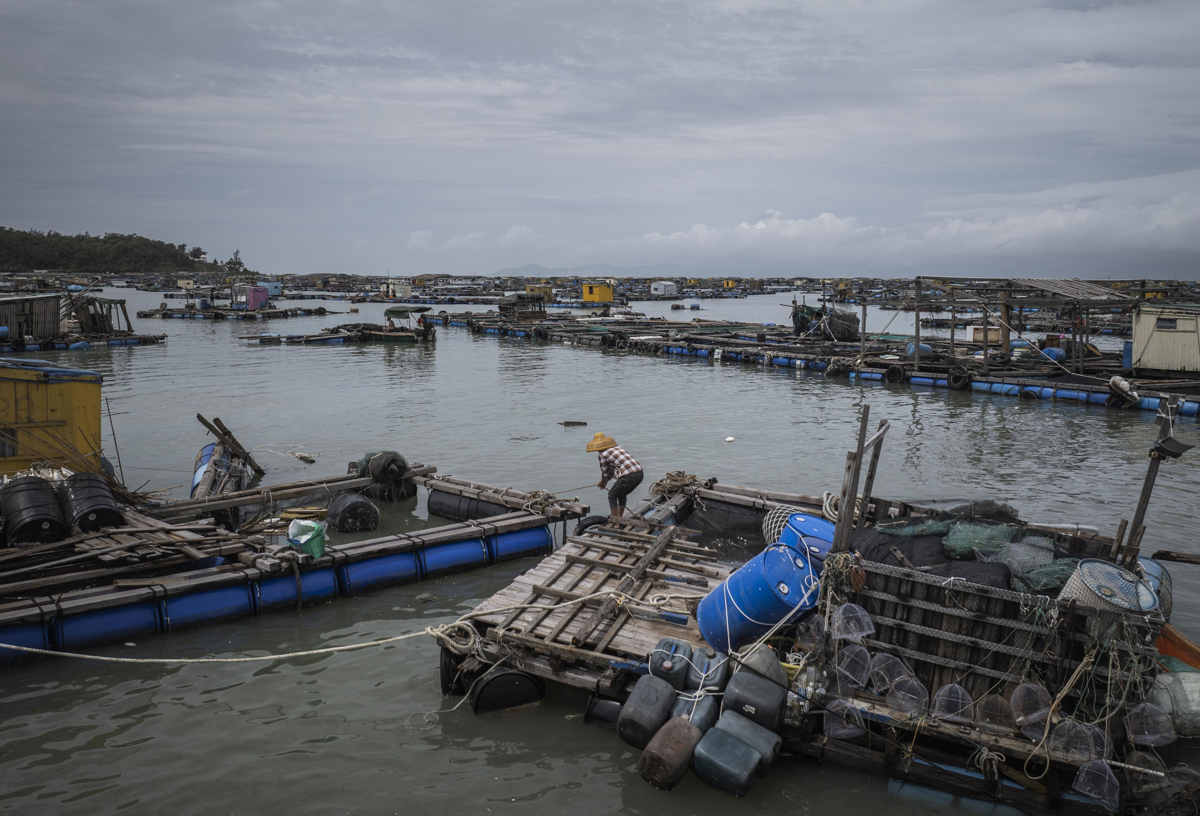 金鲳鱼, alt 金鲳鱼, alt